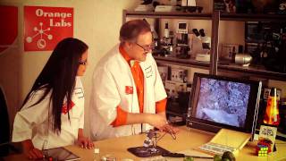 Orange Labs: Handheld Digital Microscope Tour