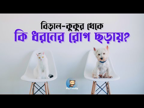 ভিডিও: কুকুরের হাড় কি ডায়রিয়া হতে পারে?