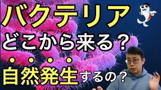 真実 水槽の立ち上げに必要なバクテリアが 自然発生 する理由 Youtube