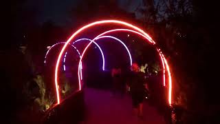 Desert Botanical Garden After Dark March 2026