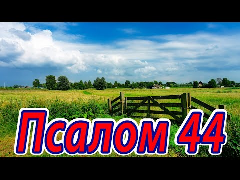 Псалом 44. Песнь Любви. Хвалебная песнь. Псалтирь на каждый день