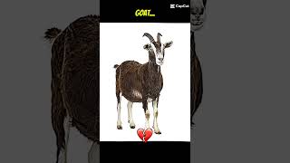 Messiye Saygı Duyuyorum Yanlış Anlaşılmasın Resimi