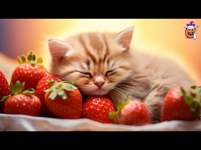 EXTREMELY Soothing Cat Therapy Music - Relax Your Cat! Cat Music | Sleepy Cat class=