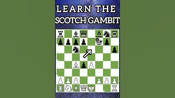 Defeat Every Chess Player By This Powerfull Scotch Gambit #chess #shorts