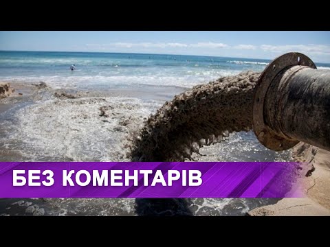 ‼️Екологічна катастрофа на озері Куряче #shorts #новинидніпра #shortvideo