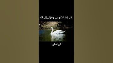 قال إنما أشكو بثي وخزني إلى الله #قرآن #قران_كريم #تلاوات #viral #video