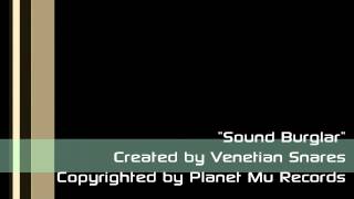 Venetian Snares - Sound Burglar [HD]