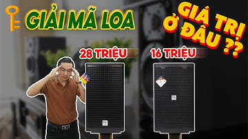 Giải Mã Loa 16 Triệu Với 28 Triệu: Tại Sao Giá Chênh Lệch Đến Vậy? Điều Gì Tạo Nên Giá Trị?