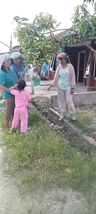 pantasan berhilangan mangga ku#fypシ゚viral #hiburan#comedi