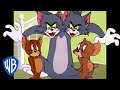 Tom i Jerry po polsku | Przyjaciele na całe życie | WB Kids