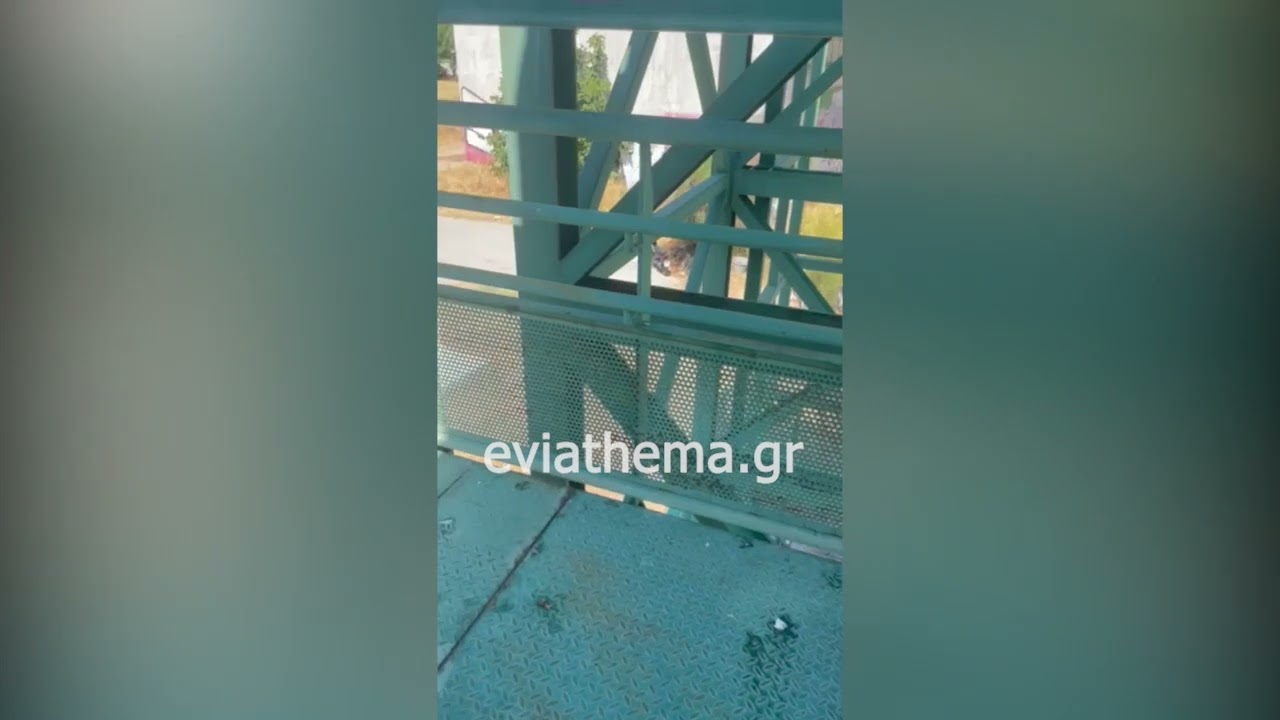 YouTube player