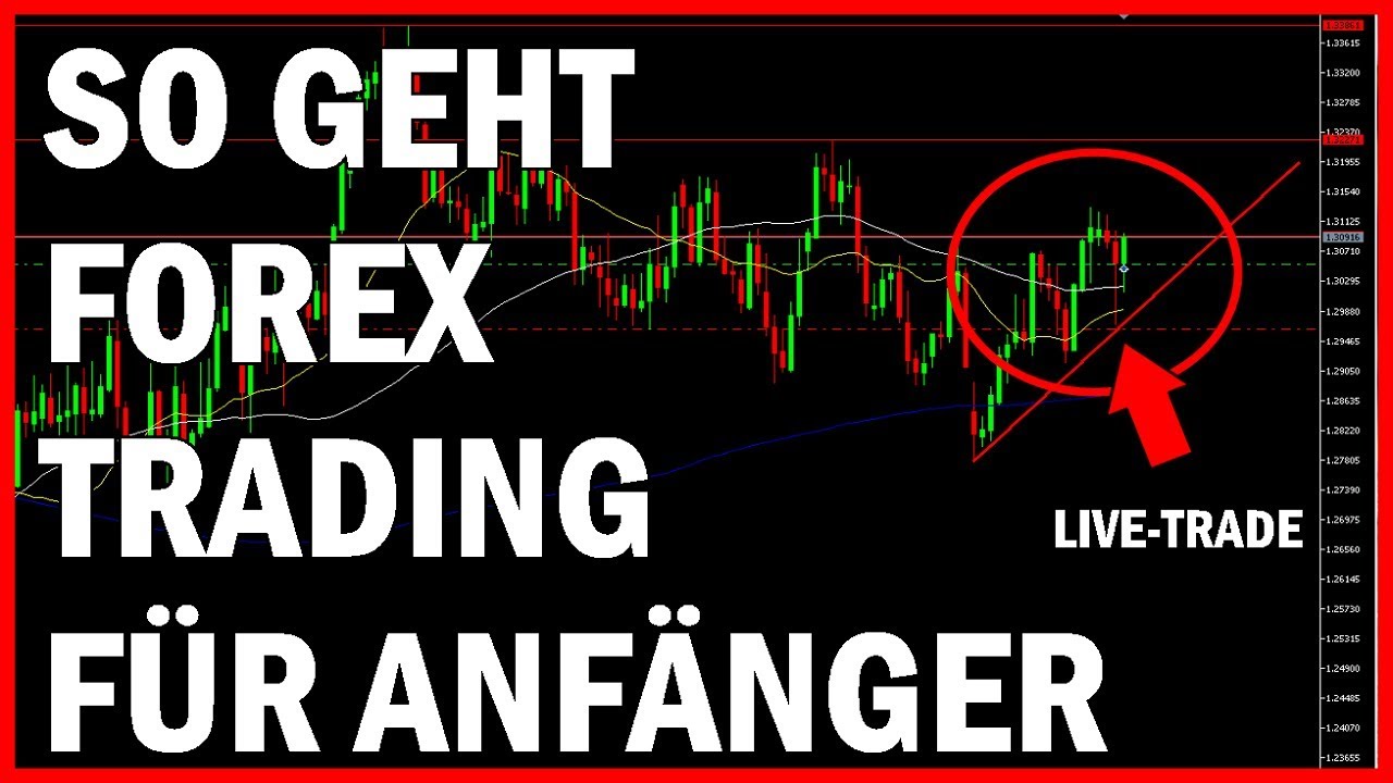 forex video youtube