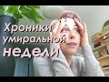 Умиральный влог/КНИГА ОПУБЛИКОВАНА!