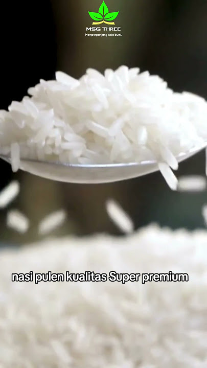 READY!! MR 337 RICE SEEDS #maulanasaysgreen3 #msg3organik