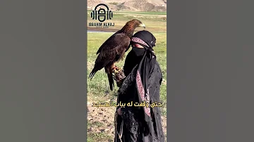 إلقاء شعري بصوتي لمقطع من قصيدة قل للمليحة بالخمار الأسود 