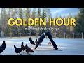 Full Body Morning Yoga Flow (23 min) | Golden Hour #54