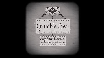 Grumble Bee - Soft Filter, Black & White Picture (Lyric Video)