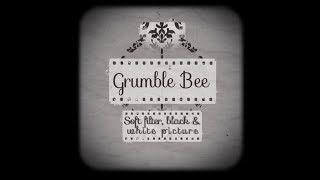 Grumble Bee - Soft Filter, Black & White Picture (Lyric Video) screenshot 1