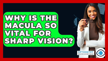 Why Is The Macula So Vital For Sharp Vision? - Optometry Knowledge Base