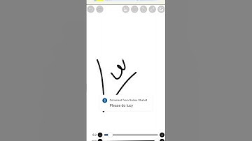 NAME CALLIGRAPHY WHAT