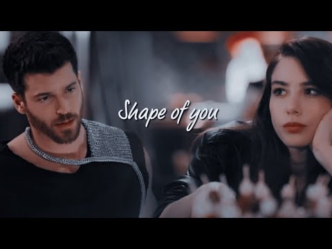 Ezgi e Ozgur || Shape Of You