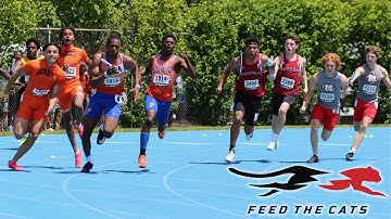 The Non-Negotiables of Feed the Cats Speed Training