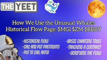 How We Use The Unusual Whales Historical Flow Page