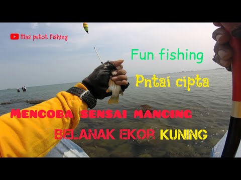 Sensasi mancing belanak