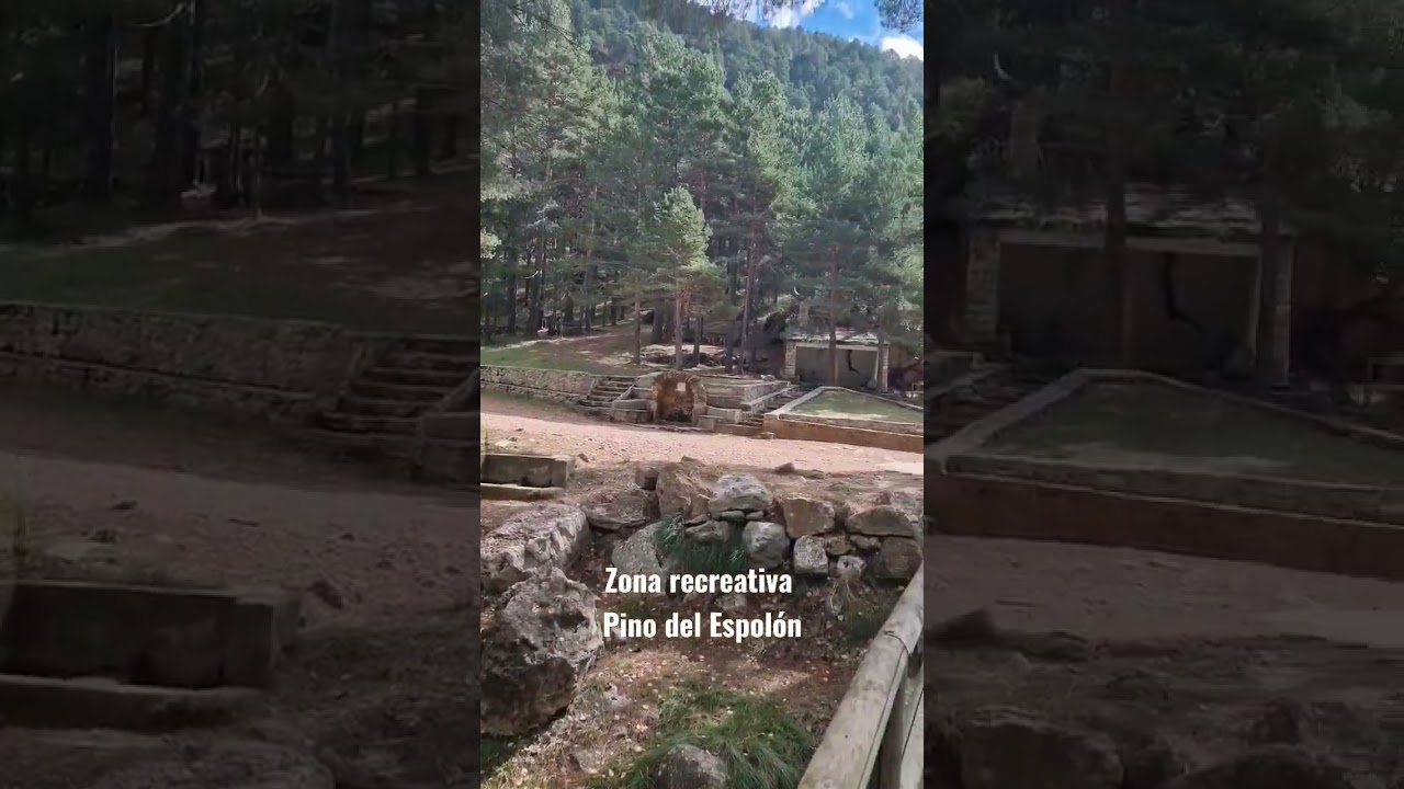 Zona recreativa Pino del Escobón. Teruel existe, y es muy bonito😉😊🥰