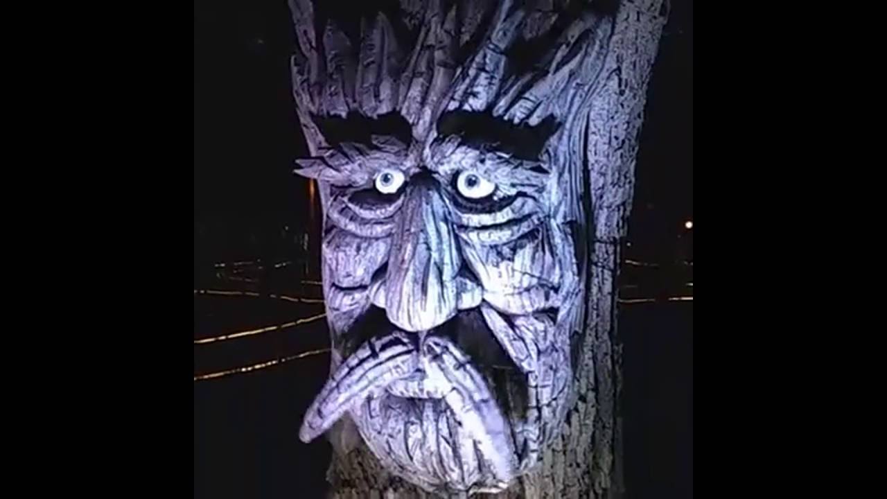 El Bosque Encantado Festival Santa Lucia Monterrey N.L. Septiembre 2016