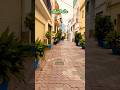 🔥Marbella Malaga Spain 🇪🇸🦋🌹🦋#marbella #malaga #andalucia #españa #shorts #viral #trending