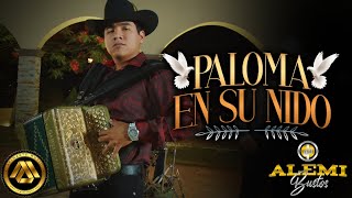 Alemi Bustos - Paloma en su Nido (Video Musical)