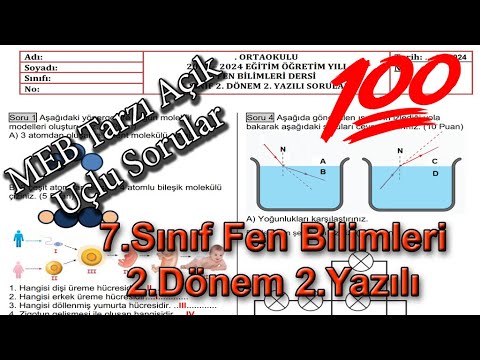 Fen Bilimleri 7.Sınıf 2.Dönem 2.Yazılı Açık Uçlu Sorular 2024