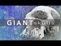 Ancient giant skeletons  are giant skulls and cyclopes real or myth