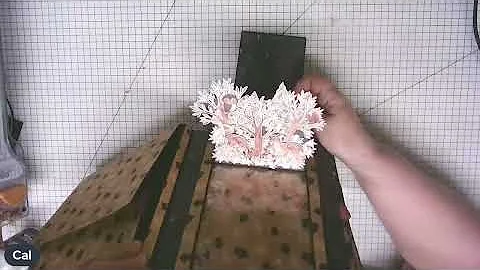 Pop Up Mini Part One