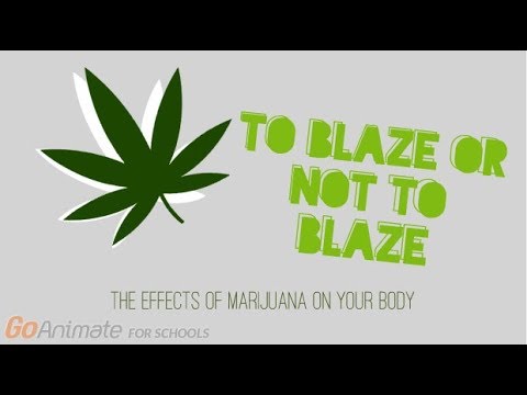 Video: Gli Ultimi 10 Anni: Eventuali Cambiamenti Nelle Percezioni Della Gravità Di Alcol, Cannabis E Consumo Di Sostanze In Canada?