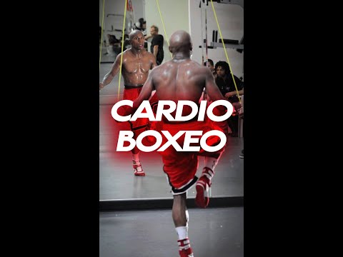 Vídeo: La boxa ombra és un entrenament cardiovascular?