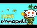 I fell in love with the Neopets Subreddit | Neopets in 2019 part 2