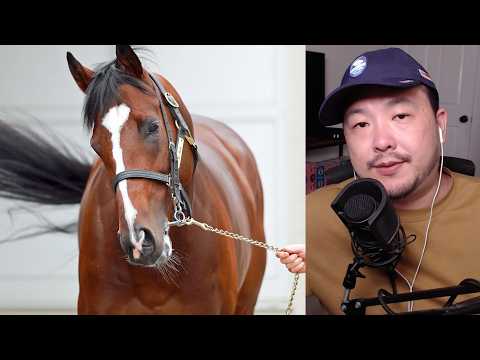 My Universe and the 2026 Takarazuka Kinen | 宝塚記念 G1