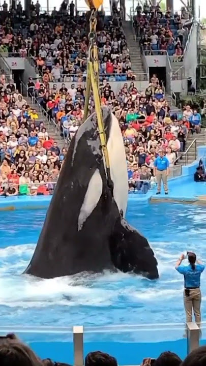 Oscar you are a killer of Oscar #oscars #15people