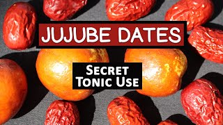 Red Jujube Fruit, Secret Tonic Use of a Superfruit Variety