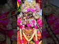 #radhavallabh #harivansh #radhavallabhshriharivansh #shriharivansh #bhakti #radha #radhakrishna 1234