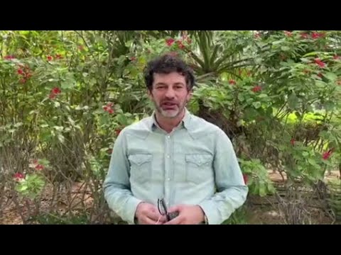 „ბედნიერი ვარ, რომ შედეგები კარგია. კარგად ვარ, სრულფასოვნად დავუბრუნდები ჩემს საქმიანობაა“