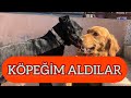 KÖPEĞİMİ ALDILAR! AÇIKLAMA - NELER OLDU ?