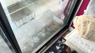 IMG 8009