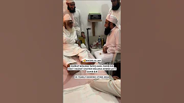 Maulana Tariq Jameel Sahab Meet Maulana Ahmad Laat Sahab Raiwind Ijtema 2024 