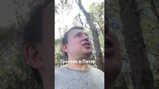 Я в спб