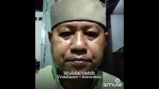 Wulidal Habib
