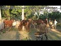 Video # 75 Agricultores que amen, que piensen...Farmers who love, who think ...