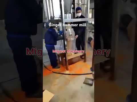 Ginger and cinnamon hammer mill
